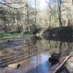 3-Ab in de Batsch